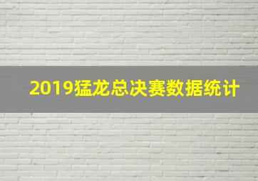 2019猛龙总决赛数据统计