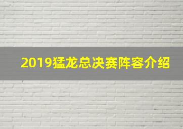 2019猛龙总决赛阵容介绍