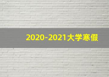 2020-2021大学寒假