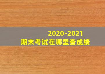 2020-2021期末考试在哪里查成绩