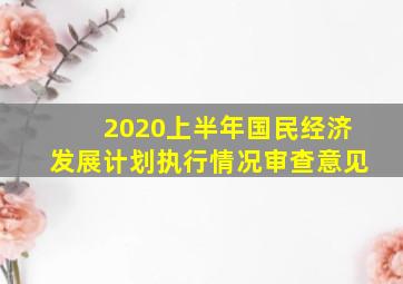 2020上半年国民经济发展计划执行情况审查意见