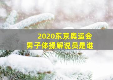 2020东京奥运会男子体操解说员是谁