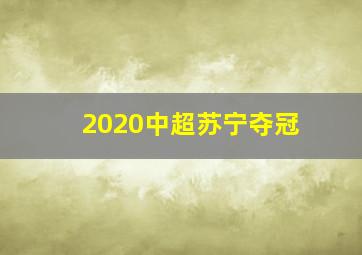 2020中超苏宁夺冠