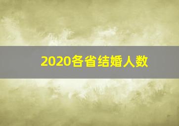 2020各省结婚人数