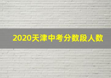 2020天津中考分数段人数