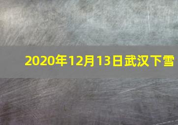 2020年12月13日武汉下雪