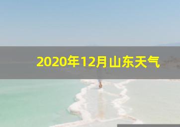 2020年12月山东天气