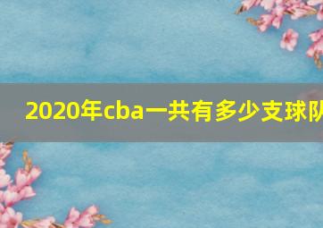 2020年cba一共有多少支球队