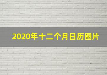 2020年十二个月日历图片