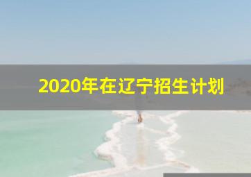 2020年在辽宁招生计划