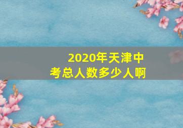 2020年天津中考总人数多少人啊