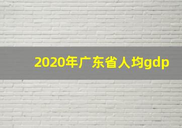 2020年广东省人均gdp