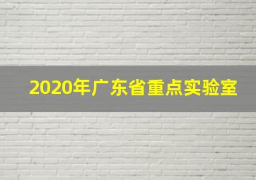 2020年广东省重点实验室