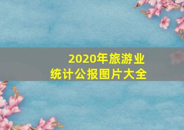 2020年旅游业统计公报图片大全