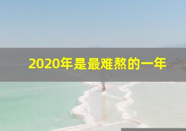 2020年是最难熬的一年