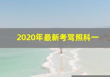 2020年最新考驾照科一