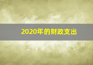 2020年的财政支出