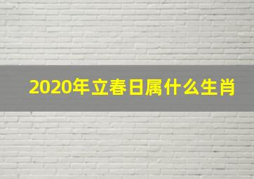 2020年立春日属什么生肖