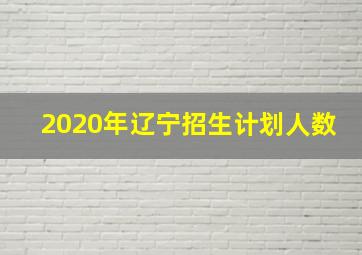 2020年辽宁招生计划人数