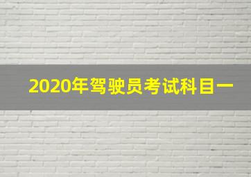 2020年驾驶员考试科目一