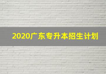 2020广东专升本招生计划