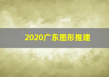 2020广东图形推理