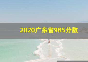 2020广东省985分数