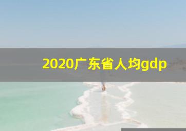 2020广东省人均gdp