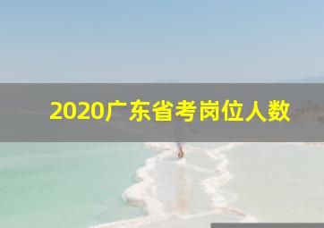 2020广东省考岗位人数