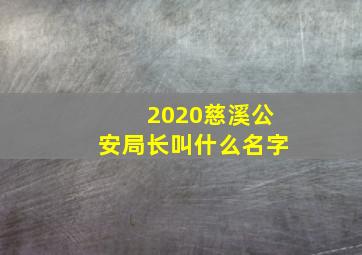 2020慈溪公安局长叫什么名字