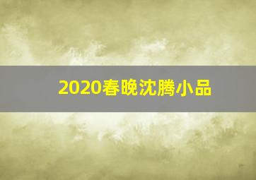 2020春晚沈腾小品