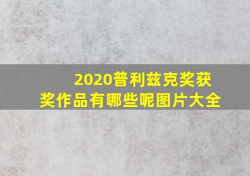 2020普利兹克奖获奖作品有哪些呢图片大全