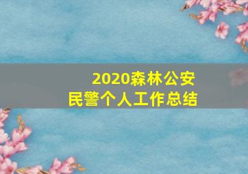 2020森林公安民警个人工作总结