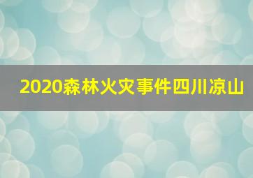 2020森林火灾事件四川凉山