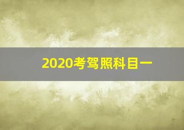 2020考驾照科目一