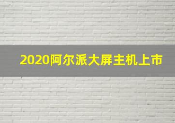 2020阿尔派大屏主机上市