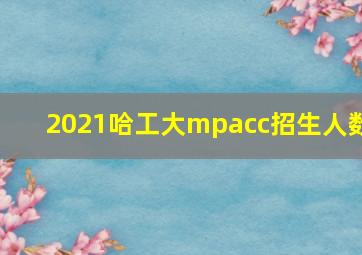 2021哈工大mpacc招生人数