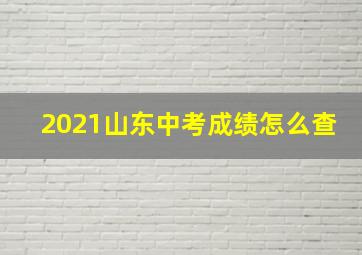 2021山东中考成绩怎么查