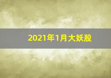 2021年1月大妖股