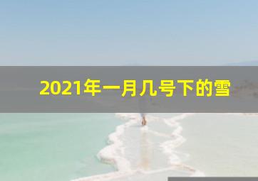 2021年一月几号下的雪