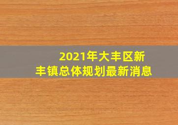 2021年大丰区新丰镇总体规划最新消息