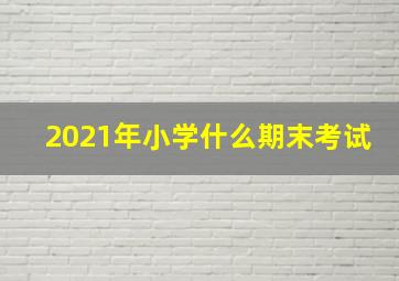 2021年小学什么期末考试