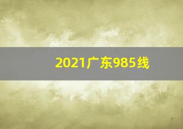 2021广东985线