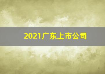 2021广东上市公司