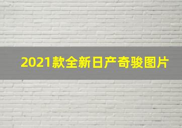 2021款全新日产奇骏图片