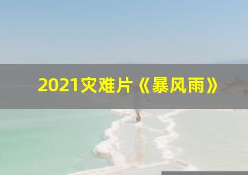 2021灾难片《暴风雨》