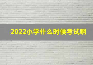 2022小学什么时候考试啊