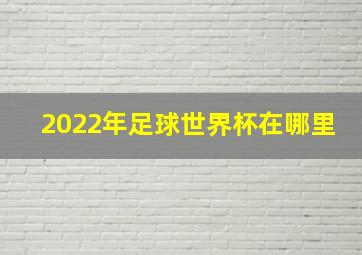 2022年足球世界杯在哪里