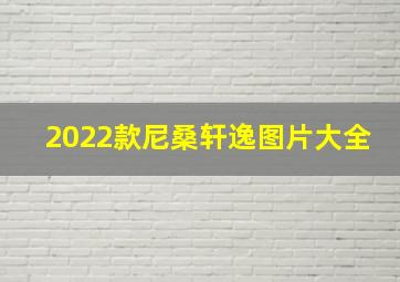 2022款尼桑轩逸图片大全