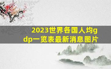 2023世界各国人均gdp一览表最新消息图片